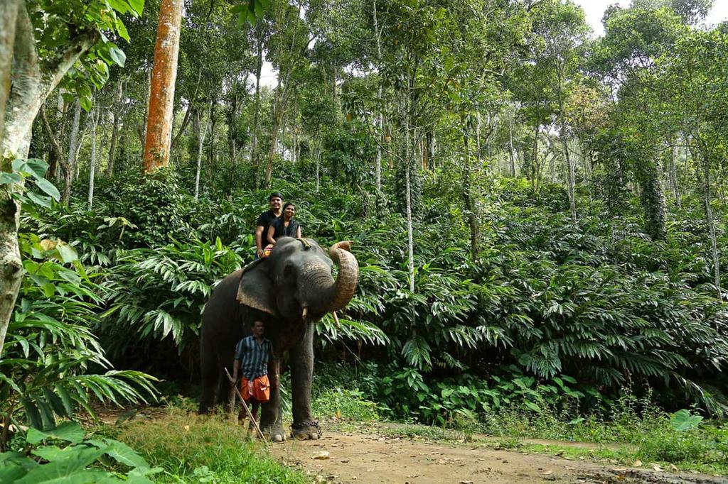Peppervine Hotel Thekkady Buitenkant foto
