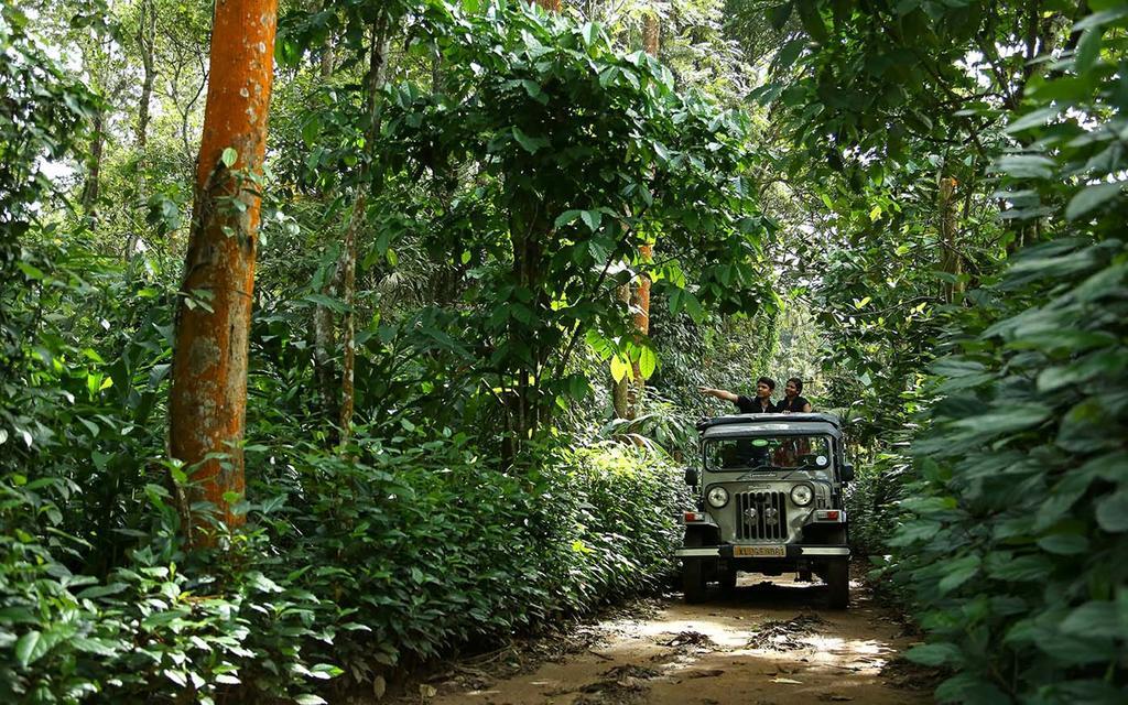Peppervine Hotel Thekkady Buitenkant foto